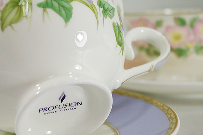i~@PROFUSION@5qA\[gqM